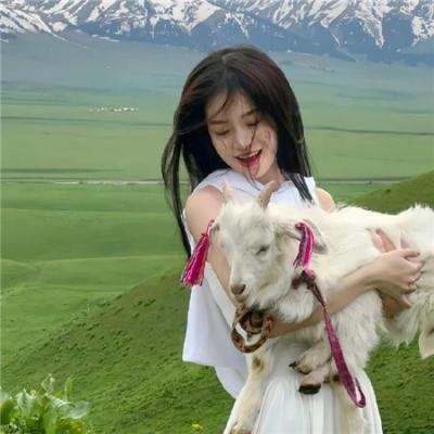 半步崩拳 在线观看